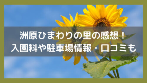 洲原ひまわりの里に行ってきた感想！入園料や駐車場情報・口コミも紹介！イメージ画像