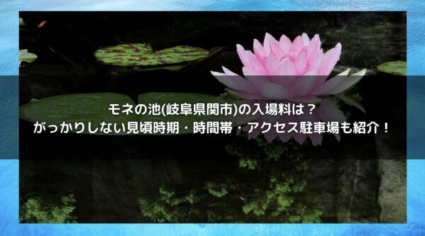 モネの池(岐阜県関市)の入場料は？がっかりしない見頃時期・時間帯・アクセス駐車場も紹介！のイメージ画像