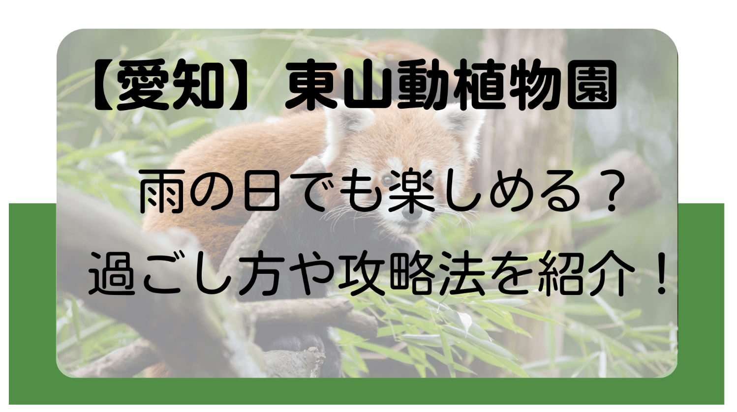 東山動植物園は雨の日でも楽しめる？雨天時の過ごし方や攻略法を紹介！のイメージ画像