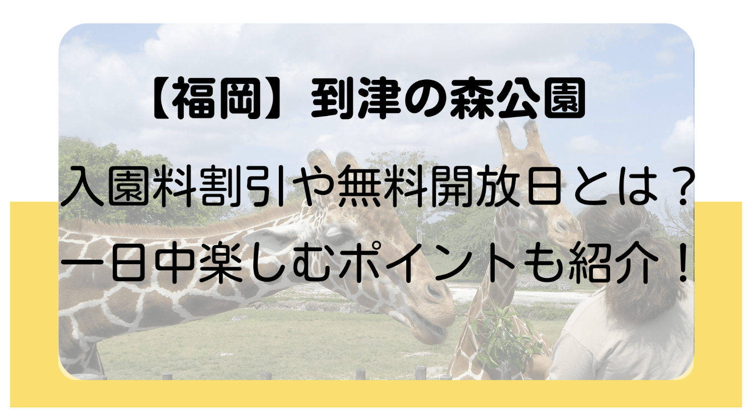 【福岡】到津の森公園の入園料割引や無料開放日とは？一日中楽しむポイントも紹介！のイメージ画像