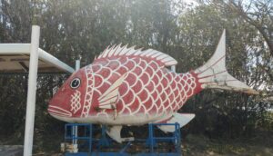 篠島おんべ鯛の画像