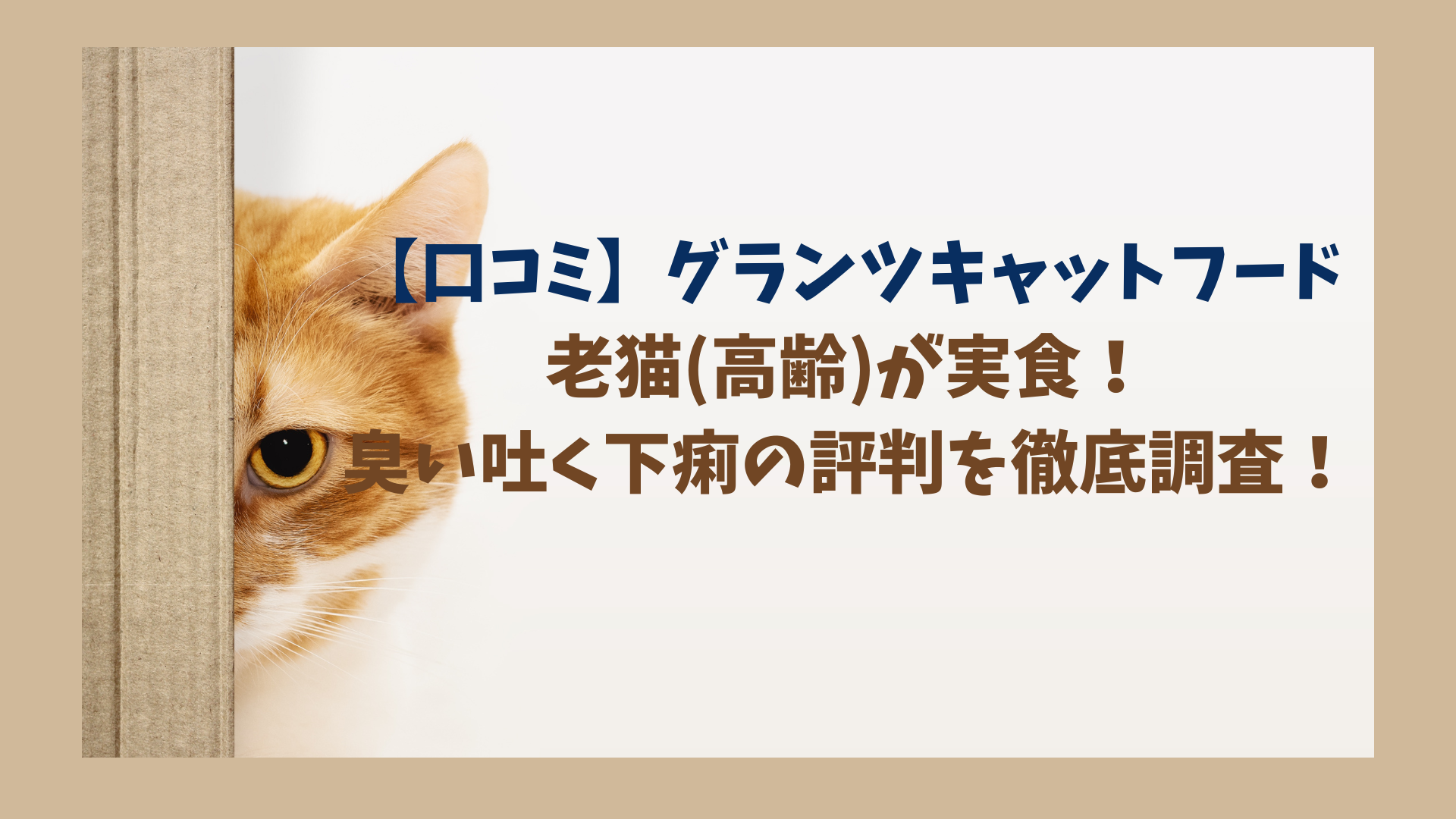 【口コミ】グランツキャットフード老猫(高齢)が実食！臭い吐く下痢の評判を徹底調査！のアイキャッチ画像